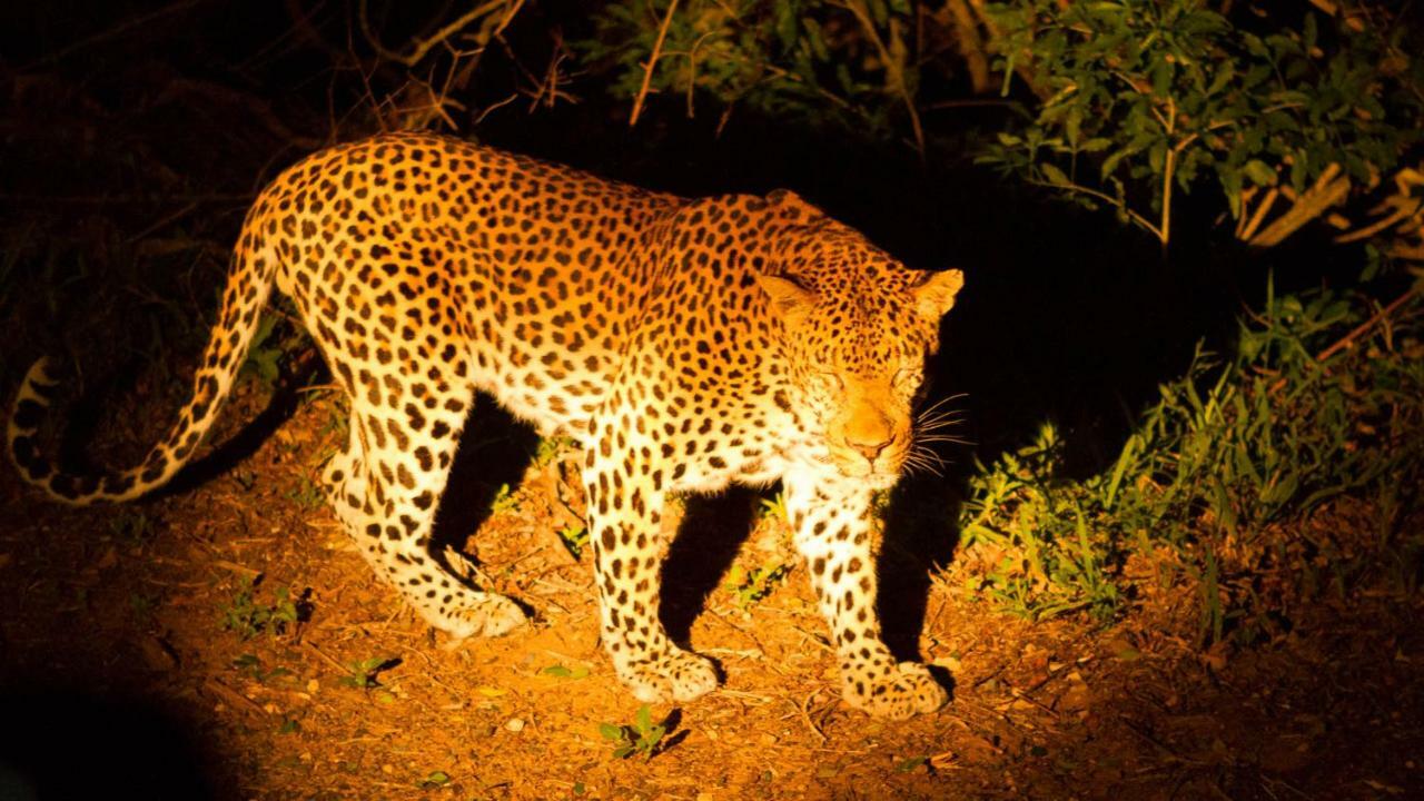 ホテル Kwalucia Private Safari Retreat Saint Lucia Estuary エクステリア 写真