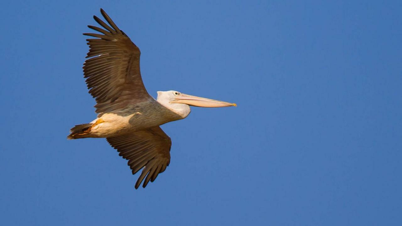 ホテル Kwalucia Private Safari Retreat Saint Lucia Estuary エクステリア 写真