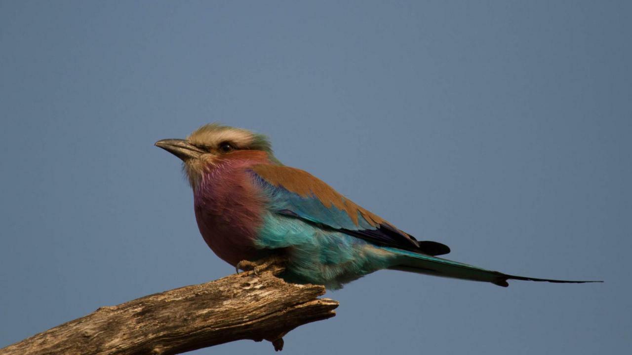 ホテル Kwalucia Private Safari Retreat Saint Lucia Estuary エクステリア 写真