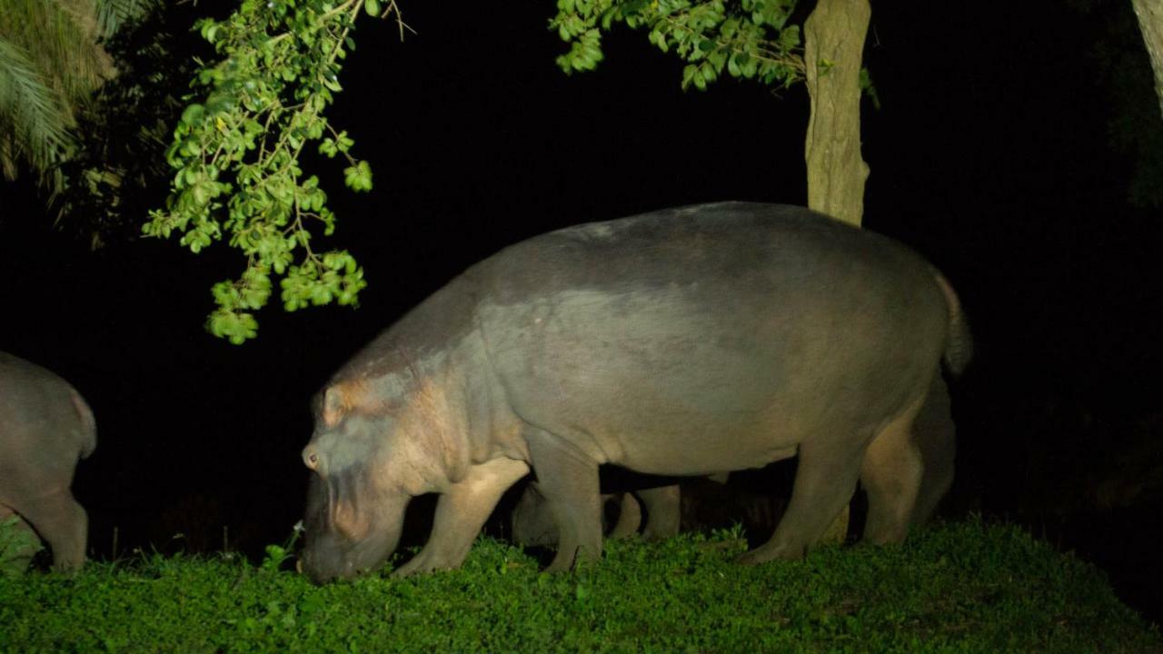 ホテル Kwalucia Private Safari Retreat Saint Lucia Estuary エクステリア 写真