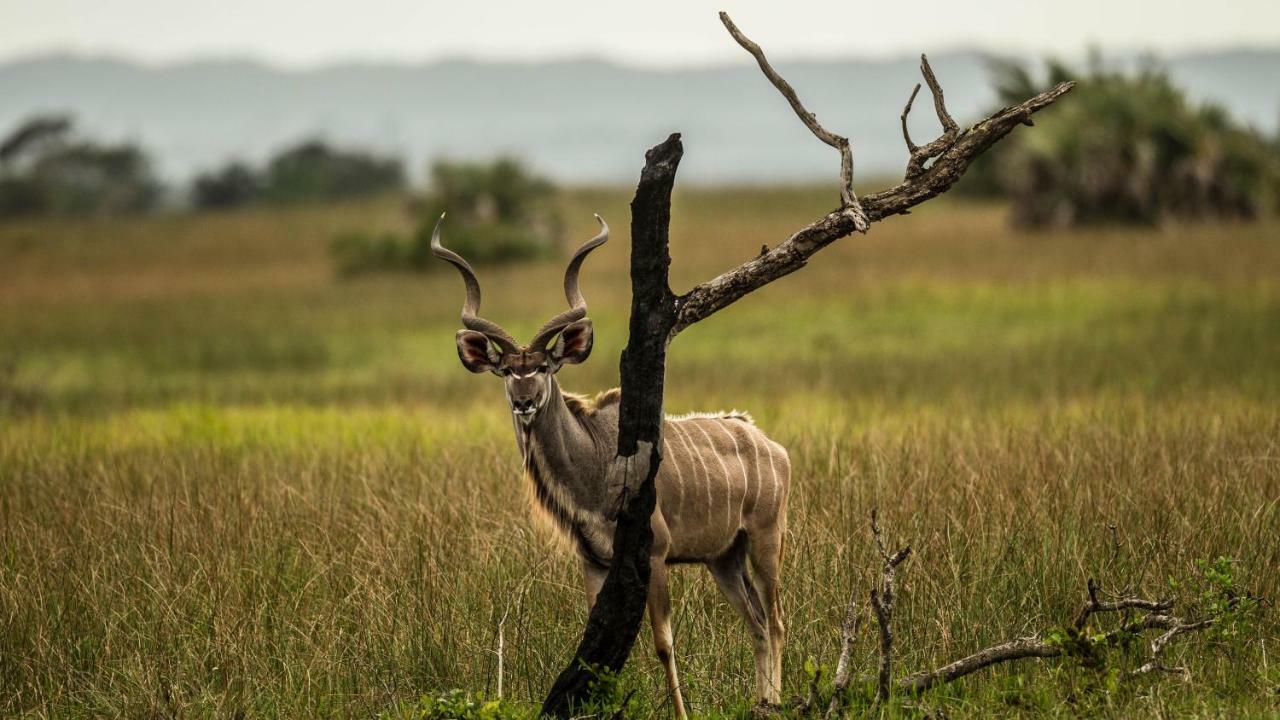 ホテル Kwalucia Private Safari Retreat Saint Lucia Estuary エクステリア 写真