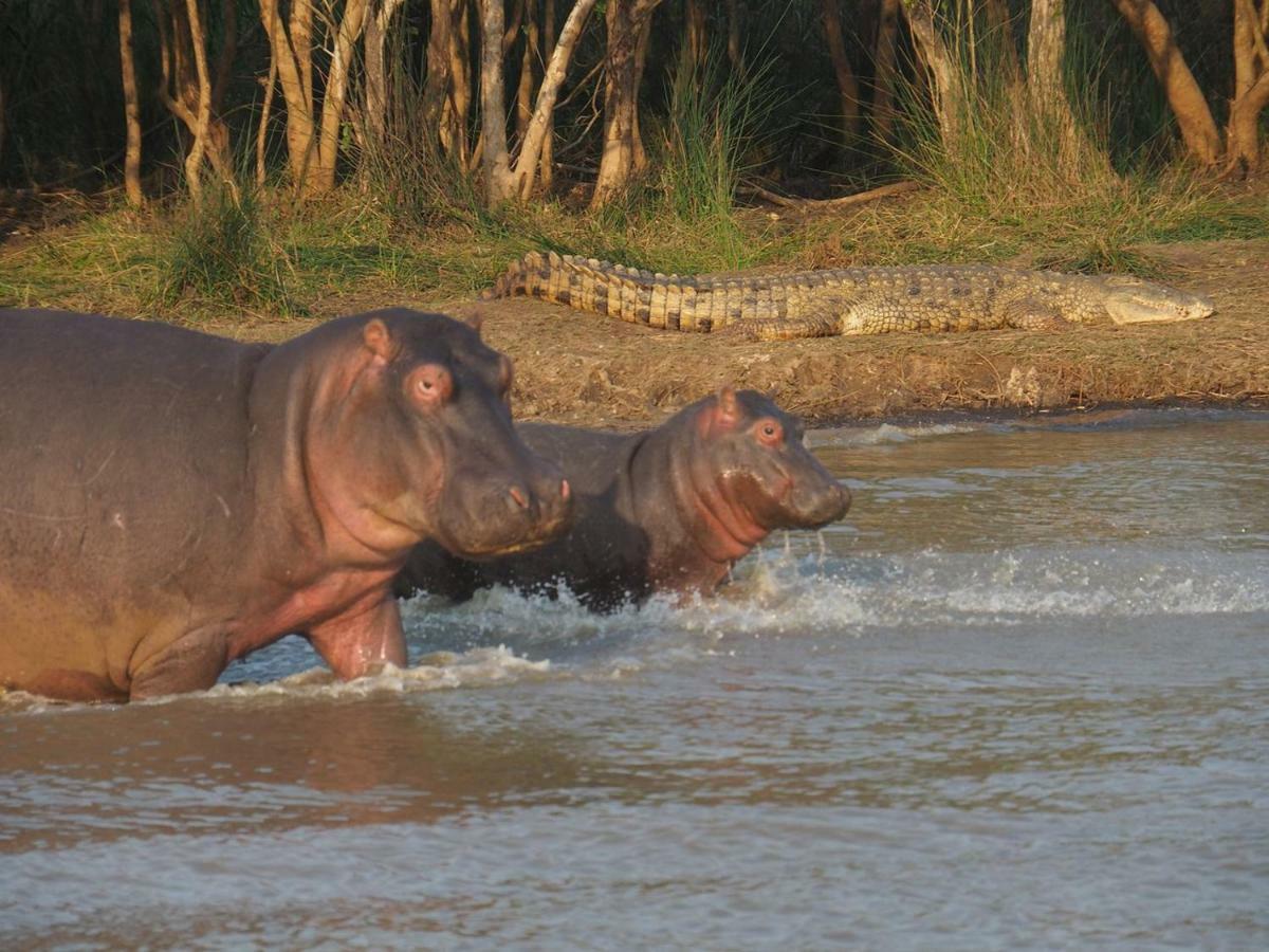 ホテル Kwalucia Private Safari Retreat Saint Lucia Estuary エクステリア 写真