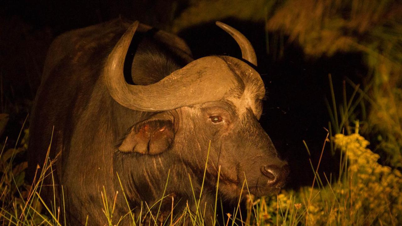 ホテル Kwalucia Private Safari Retreat Saint Lucia Estuary エクステリア 写真